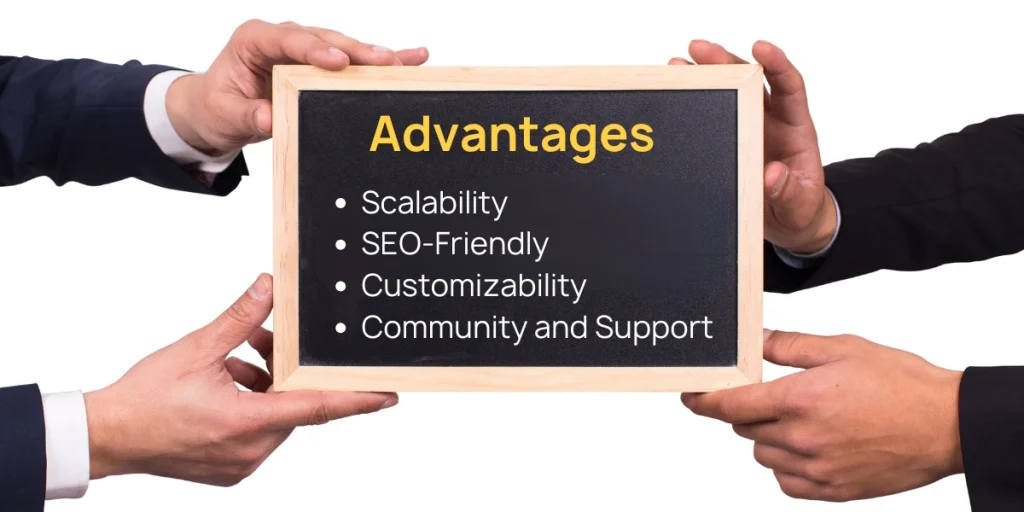 Advantages of WordPress for Large Websites