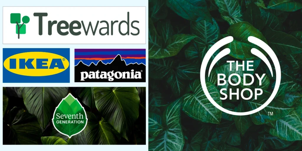 Sustainable Marketing Examples